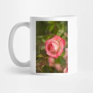 gli pink lady Mug